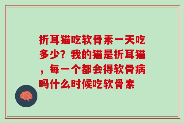 折耳猫吃软骨素一天吃多少?我的猫是折耳猫,每一个都会得软骨吗什么时候吃软骨素 折耳猫吃软骨素一天吃多少?我的猫是折耳猫,每一个都会得软骨吗什么时候吃软骨素
