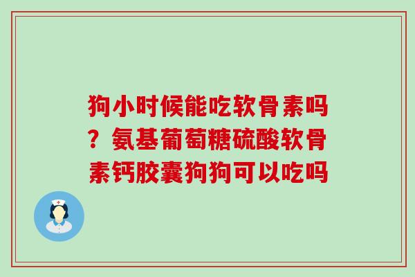 狗小时候能吃软骨素吗？氨基葡萄糖硫酸软骨素钙胶囊狗狗可以吃吗