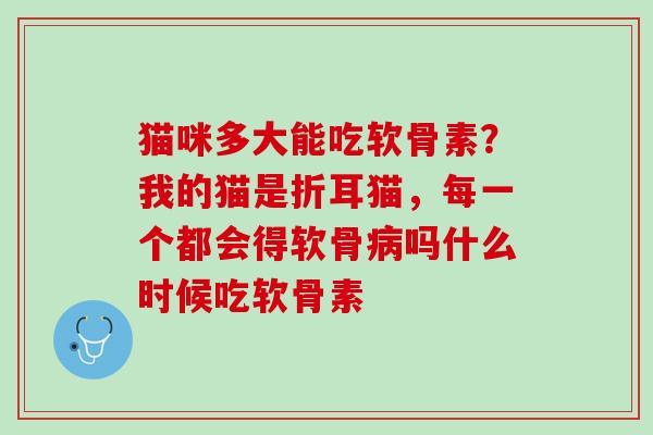 猫咪多大能吃软骨素？我的猫是折耳猫，每一个都会得软骨病吗什么时候吃软骨素