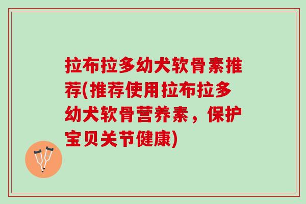 拉布拉多幼犬软骨素推荐(推荐使用拉布拉多幼犬软骨营养素，保护宝贝关节健康)