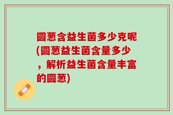 圆葱含益生菌多少克呢(圆葱益生菌含量多少，解析益生菌含量丰富的圆葱)