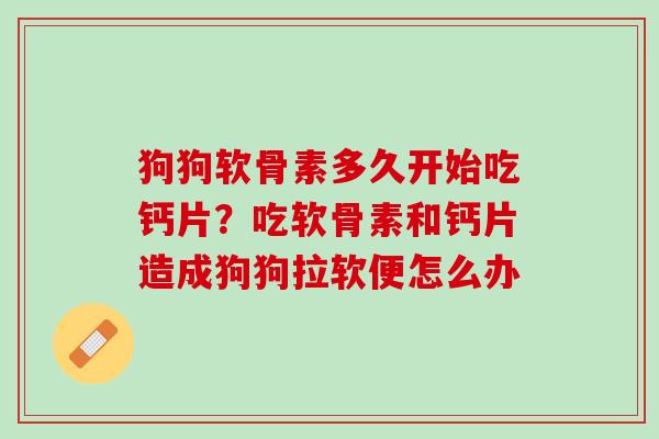 狗狗软骨素多久开始吃钙片？吃软骨素和钙片造成狗狗拉软便怎么办