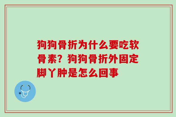 狗狗骨折为什么要吃软骨素？狗狗骨折外固定脚丫肿是怎么回事