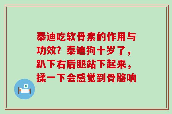 泰迪吃软骨素的作用与功效？泰迪狗十岁了，趴下右后腿站下起来，揉一下会感觉到骨骼响