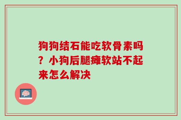 狗狗结石能吃软骨素吗？小狗后腿瘫软站不起来怎么解决