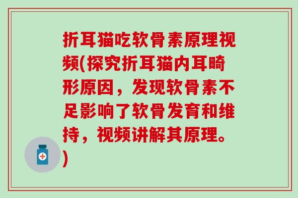 折耳猫吃软骨素原理视频(探究折耳猫内耳畸形原因，发现软骨素不足影响了软骨发育和维持，视频讲解其原理。)