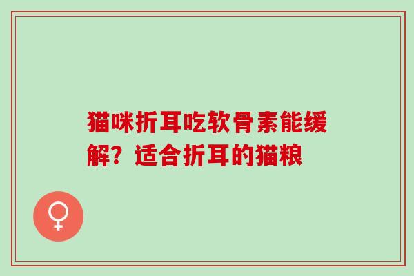 猫咪折耳吃软骨素能缓解？适合折耳的猫粮