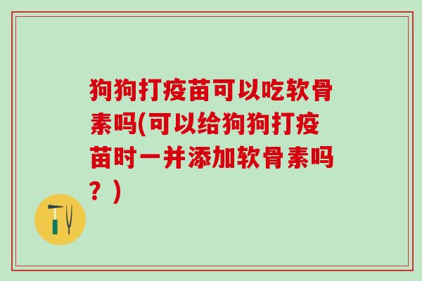 狗狗打疫苗可以吃软骨素吗(可以给狗狗打疫苗时一并添加软骨素吗？)
