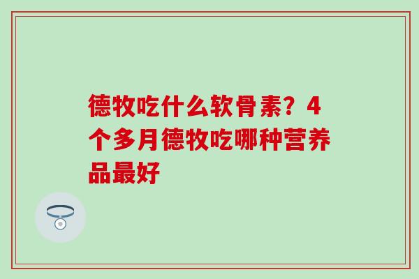 德牧吃什么软骨素？4个多月德牧吃哪种营养品最好