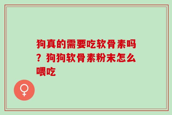 狗真的需要吃软骨素吗？狗狗软骨素粉末怎么喂吃