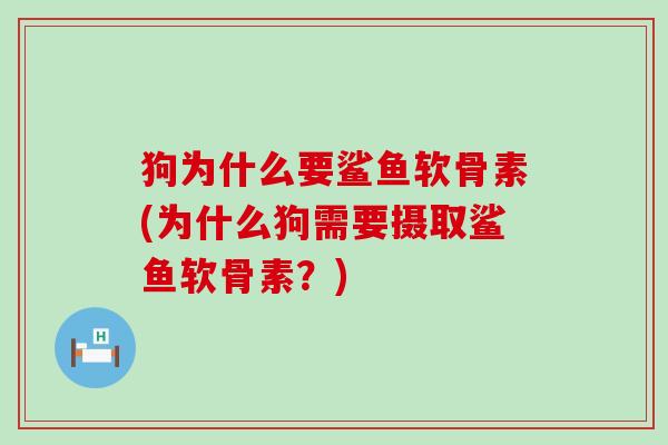 狗为什么要鲨鱼软骨素(为什么狗需要摄取鲨鱼软骨素？)