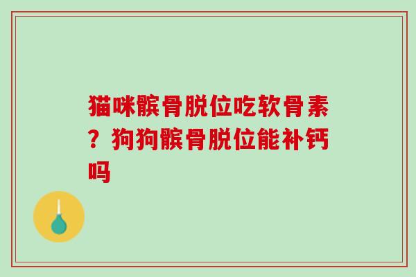 猫咪髌骨脱位吃软骨素？狗狗髌骨脱位能补钙吗