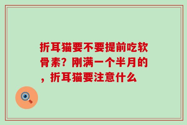 折耳猫要不要提前吃软骨素？刚满一个半月的，折耳猫要注意什么