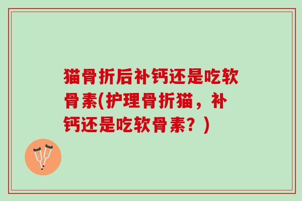 猫后补钙还是吃软骨素(护理猫,补钙还是吃软骨素?) 猫后补钙还是吃软骨素(护理猫,补钙还是吃软骨素?)