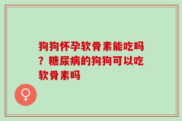 狗狗怀孕软骨素能吃吗？糖尿病的狗狗可以吃软骨素吗