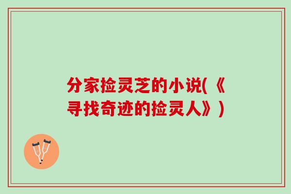 分家捡灵芝的小说(《寻找奇迹的捡灵人》)