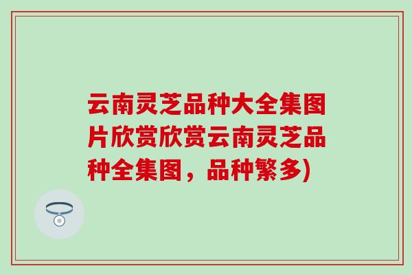 云南灵芝品种大全集图片欣赏欣赏云南灵芝品种全集图，品种繁多)