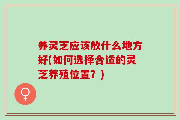 养灵芝应该放什么地方好(如何选择合适的灵芝养殖位置？)