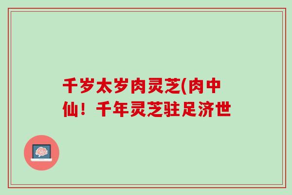 千岁太岁肉灵芝(肉中仙！千年灵芝驻足济世