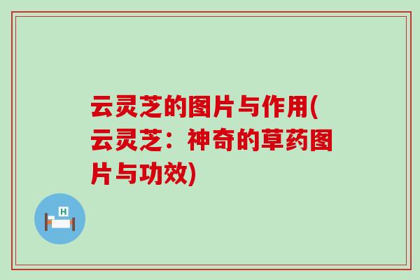云灵芝的图片与作用(云灵芝：神奇的草药图片与功效)