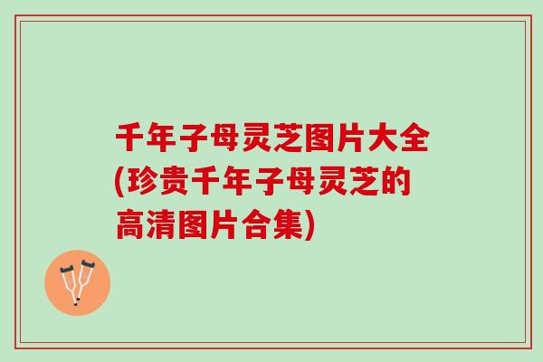 千年子母灵芝图片大全(珍贵千年子母灵芝的高清图片合集)