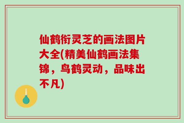 仙鹤衔灵芝的画法图片大全(精美仙鹤画法集锦，鸟鹤灵动，品味出不凡)