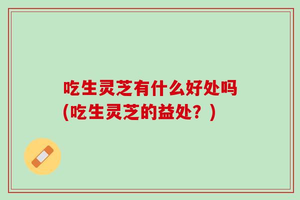 吃生灵芝有什么好处吗(吃生灵芝的益处？)