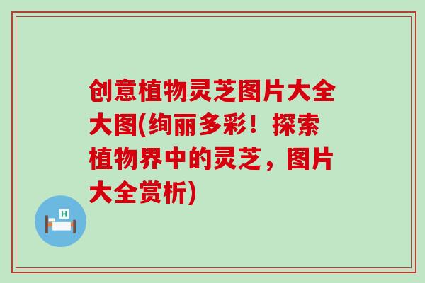 创意植物灵芝图片大全大图(绚丽多彩！探索植物界中的灵芝，图片大全赏析)