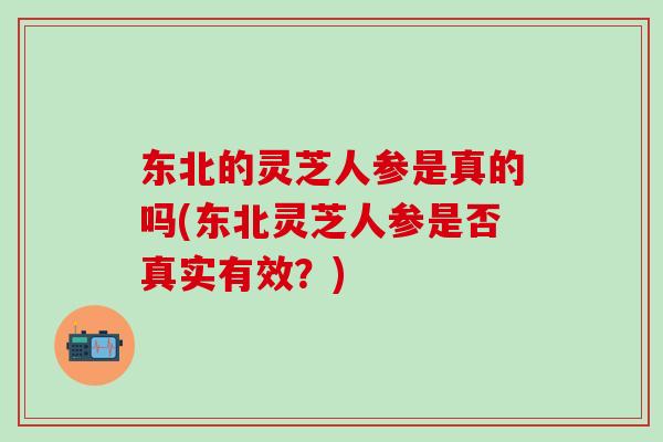 东北的灵芝人参是真的吗(东北灵芝人参是否真实有效？)