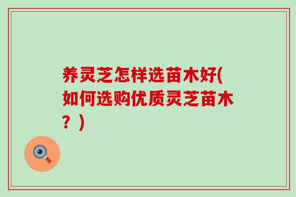 养灵芝怎样选苗木好(如何选购优质灵芝苗木？)