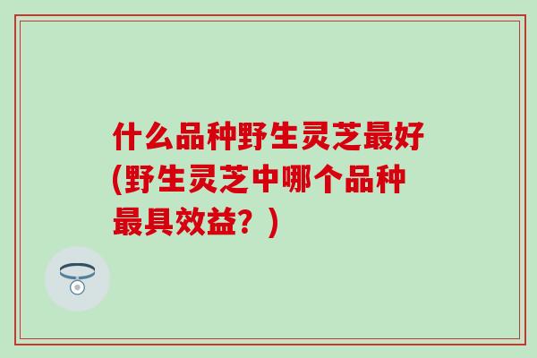 什么品种野生灵芝最好(野生灵芝中哪个品种最具效益？)