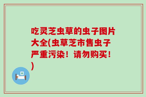 吃灵芝虫草的虫子图片大全(虫草芝市售虫子严重污染！请勿购买！)