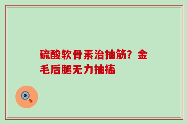 硫酸软骨素治抽筋？金毛后腿无力抽搐