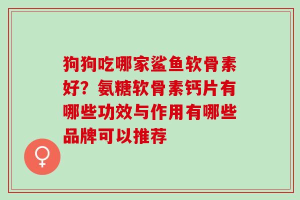 狗狗吃哪家鲨鱼软骨素好？氨糖软骨素钙片有哪些功效与作用有哪些品牌可以推荐