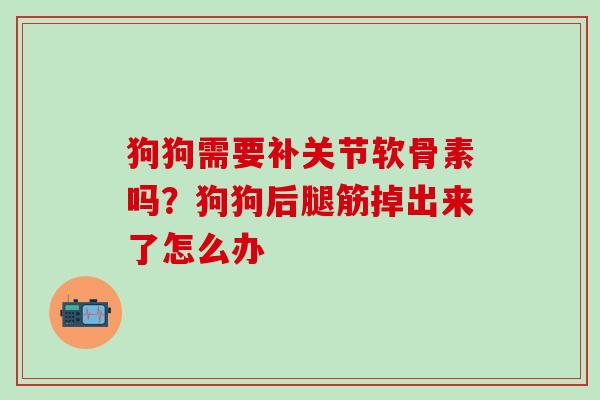 狗狗需要补关节软骨素吗？狗狗后腿筋掉出来了怎么办