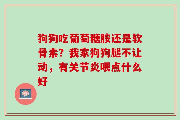 狗狗吃葡萄糖胺还是软骨素？我家狗狗腿不让动，有关节炎喂点什么好