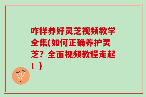 咋样养好灵芝视频教学全集(如何正确养护灵芝？全面视频教程走起！)