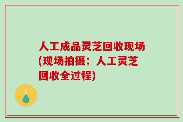 人工成品灵芝回收现场(现场拍摄：人工灵芝回收全过程)