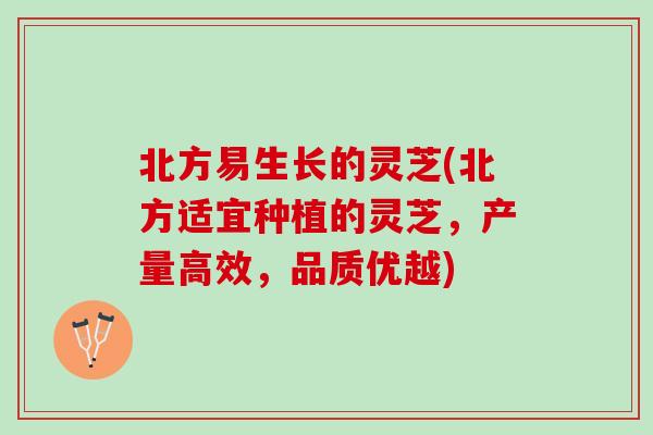 北方易生长的灵芝(北方适宜种植的灵芝，产量高效，品质优越)