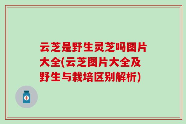 云芝是野生灵芝吗图片大全(云芝图片大全及野生与栽培区别解析) 云芝是野生灵芝吗图片大全(云芝图片大全及野生与栽培区别解析)
