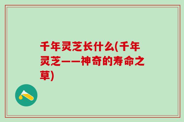 千年灵芝长什么(千年灵芝——神奇的寿命之草)