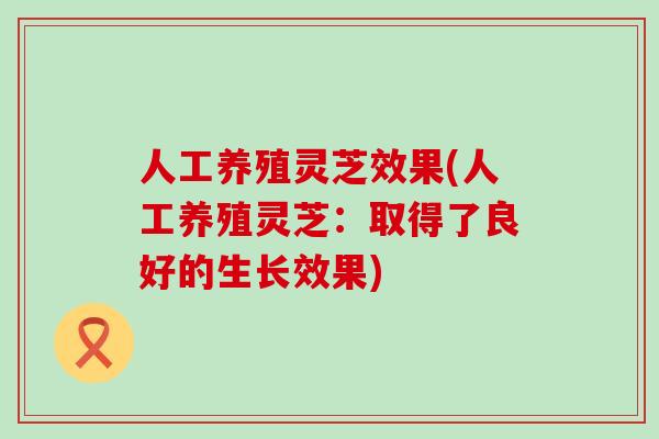 人工养殖灵芝效果(人工养殖灵芝:取得了良好的生长效果) 人工养殖灵芝效果(人工养殖灵芝:取得了良好的生长效果)