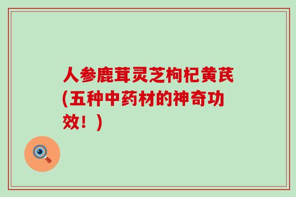 人参鹿茸灵芝枸杞黄芪(五种中药材的神奇功效！)