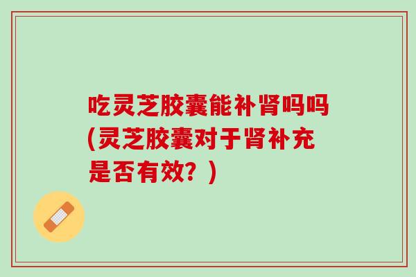 吃灵芝胶囊能补肾吗吗(灵芝胶囊对于肾补充是否有效？)