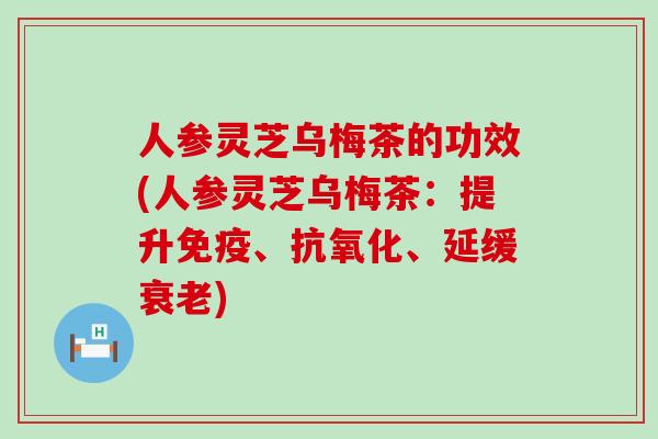 人参灵芝乌梅茶的功效(人参灵芝乌梅茶：提升免疫、抗氧化、延缓衰老)