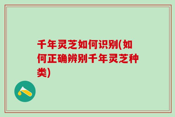 千年灵芝如何识别(如何正确辨别千年灵芝种类)