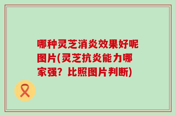 哪种灵芝消炎效果好呢图片(灵芝抗炎能力哪家强？比照图片判断)