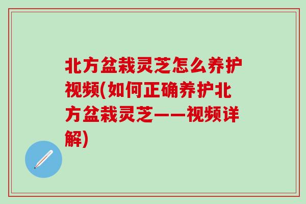 北方盆栽灵芝怎么养护视频(如何正确养护北方盆栽灵芝——视频详解)