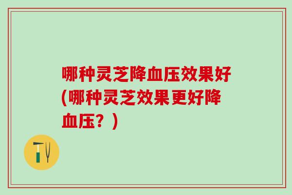 哪种灵芝降血压效果好(哪种灵芝效果更好降血压？)