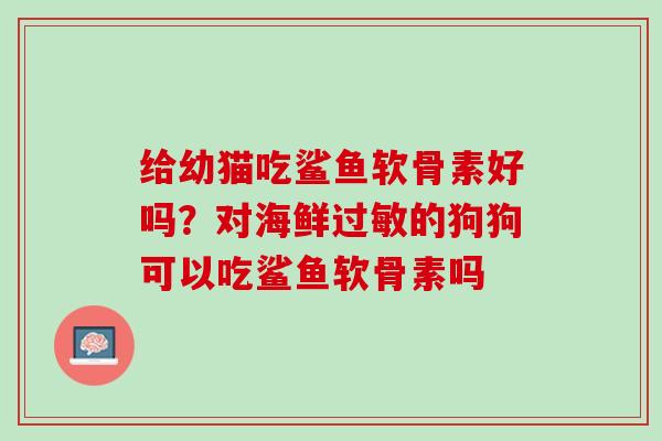 给幼猫吃鲨鱼软骨素好吗？对海鲜过敏的狗狗可以吃鲨鱼软骨素吗